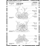 Load image into Gallery viewer, Liquid Marseille Soap Black Tea 16.9 fl oz Glass
