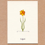 Load image into Gallery viewer, A Story About Spring-Boxed Enclosure Cards, Made in the USA

