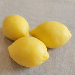 Load image into Gallery viewer, Soap in the shape and scent of real LEMON 125g MADE IN FRANCE
