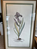 Load image into Gallery viewer, Vintage Botanical Prints Iris &amp; Daffodil Pair
