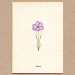 Load image into Gallery viewer, A Story About Spring-Boxed Enclosure Cards, Made in the USA
