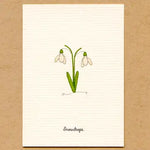 Load image into Gallery viewer, A Story About Spring-Boxed Enclosure Cards, Made in the USA
