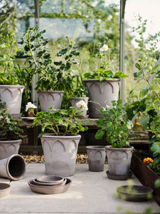 #21 Elizabeth "The Everyday Queen"  Gray BERGS POTTERY Made in Italy