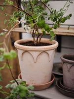 Load image into Gallery viewer, #21 Elizabeth &quot;The Everyday Queen&quot;  Gray BERGS POTTERY Made in Italy
