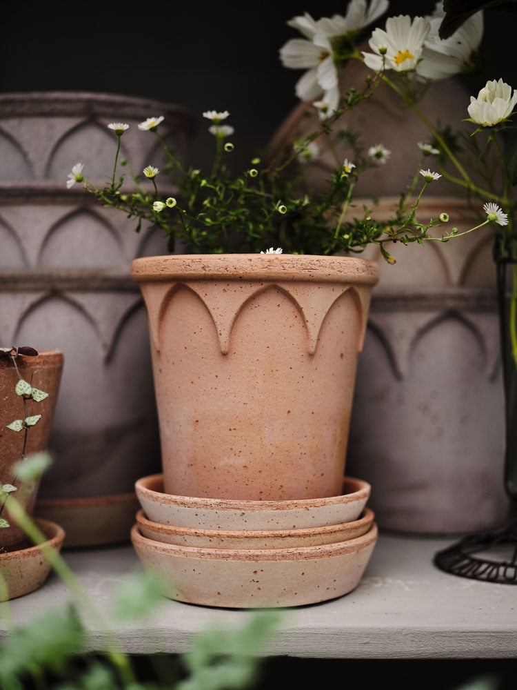 #21 Elizabeth "The Everyday Queen"  Gray BERGS POTTERY Made in Italy