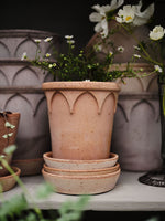 Load image into Gallery viewer, #12 Elizabeth &quot;The Everyday Queen&quot;  Gray BERGS POTTERY Made in Italy
