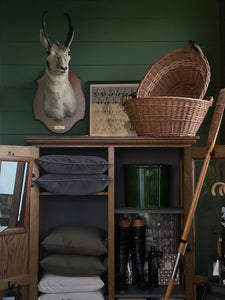 Pronghorn Antelope Shoulder Mount 1975