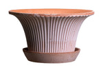 Load image into Gallery viewer, DAISY POT RAW Rosa 25 cm 5.1 x 9.8 x 9.8"
