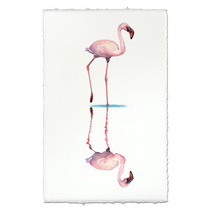 Flamingo on English Watercolor Paper 20 X 30" Unframed Printed in USA