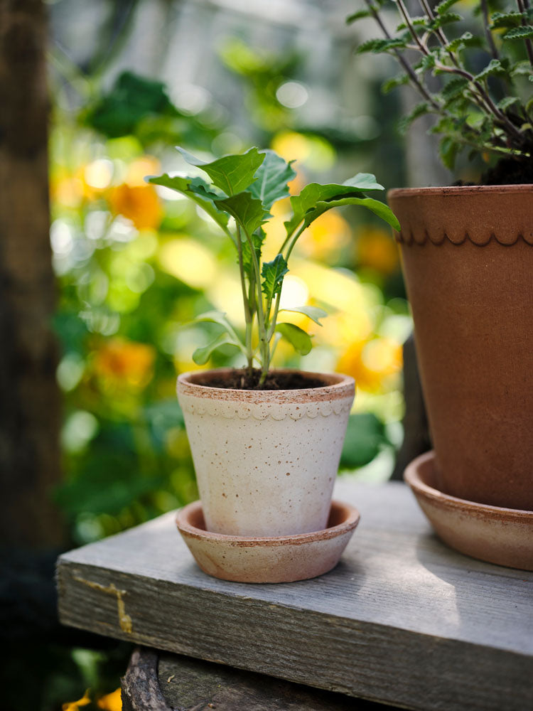 Helena Raw BERGS POTTERY Made in Italy