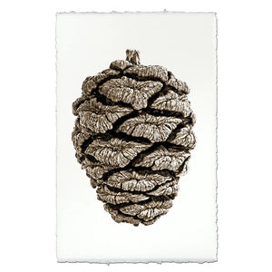 Redwood Pinecone Photographic Print - Printed in the USA