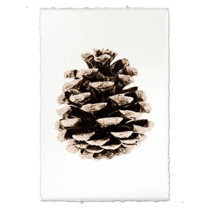 Red Leaf Pinecone Photographic Print - Printed in the USA