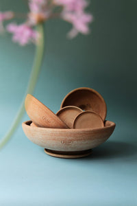 Ada Raw Rosa BERGS POTTERY 14”  Made in Italy