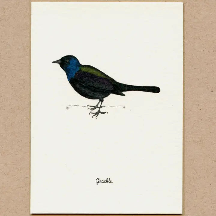Birds, Greeting Cards