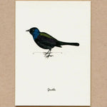 Load image into Gallery viewer, Birds, Greeting Cards
