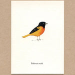 Load image into Gallery viewer, 6 cards of favorite birds, part 2 Made in the USA
