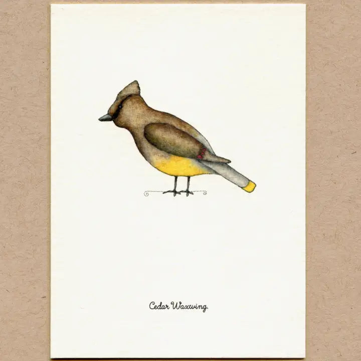 Birds, Greeting Cards