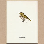 Load image into Gallery viewer, 6 cards of favorite birds, part 2 Made in the USA
