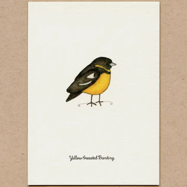 Birds, Greeting Cards