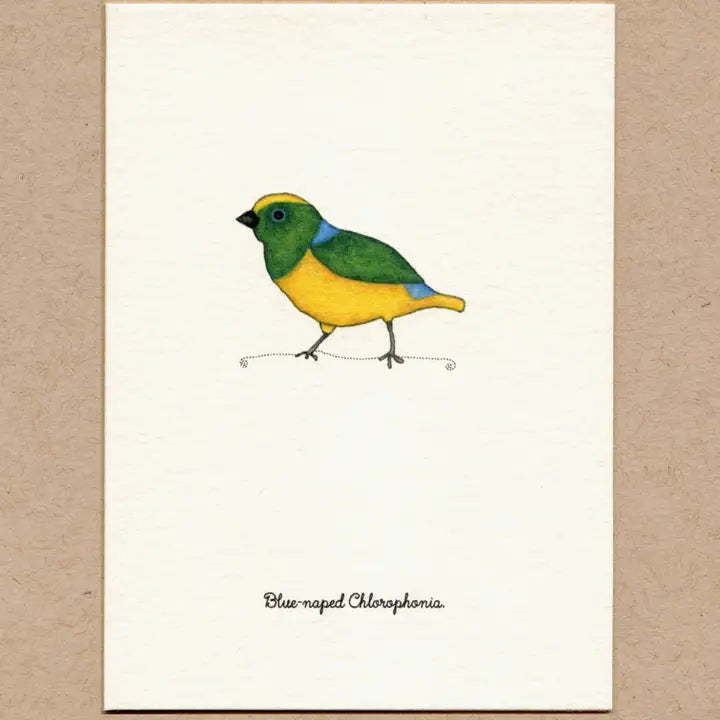 Birds, Greeting Cards