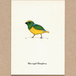 Load image into Gallery viewer, Birds, Greeting Cards
