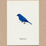 Load image into Gallery viewer, 6 cards of favorite birds, part 2 Made in the USA

