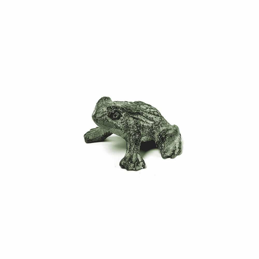 Bronze Teeny Frog