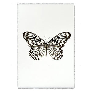 Butterfly Black & White Print Made in the USA