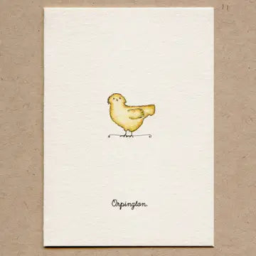 Farm Animal Greeting Card Boxed Set