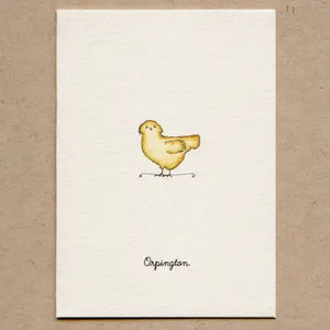 Farm Animal Greeting Card Boxed Set
