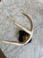 Load image into Gallery viewer, Antlers Set
