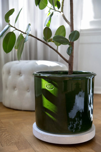 bergs plant pots Modena Glazed Emerald Green BERGS POTTERY Made in Italy – The Little Marketplace