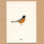 Load image into Gallery viewer, A Story About Spring-Boxed Enclosure Cards, Made in the USA
