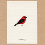 Load image into Gallery viewer, A Story About Spring-Boxed Enclosure Cards, Made in the USA
