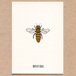 Load image into Gallery viewer, A Story About Spring-Boxed Enclosure Cards, Made in the USA
