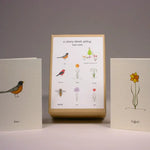 Load image into Gallery viewer, A Story About Spring-Boxed Enclosure Cards, Made in the USA
