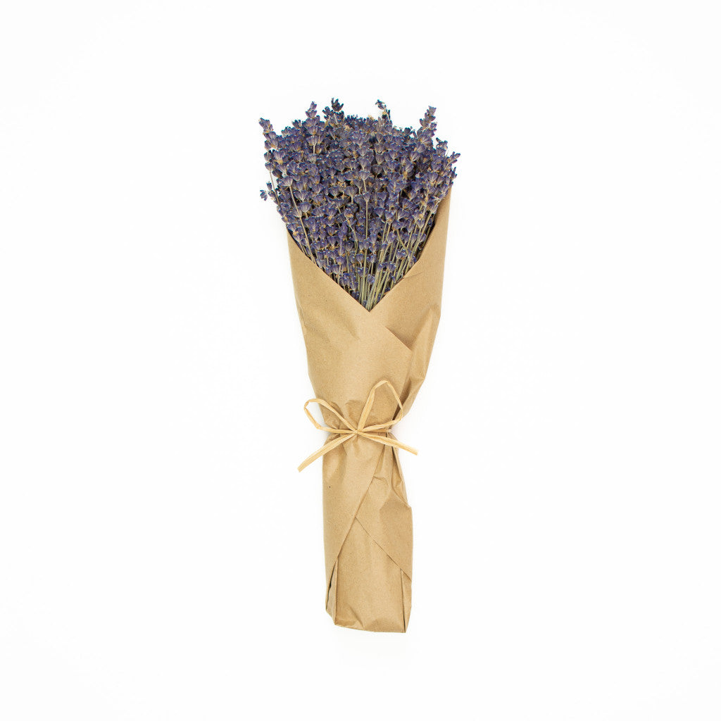 French Lavender