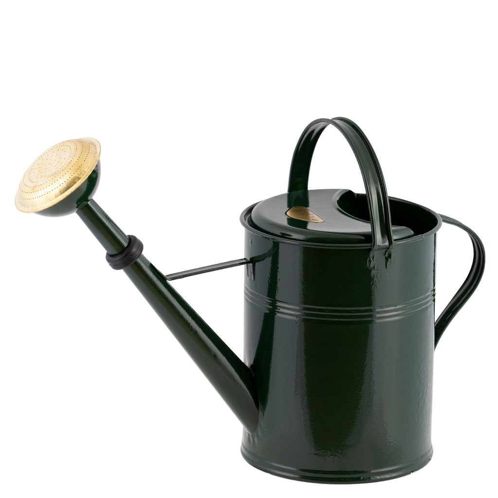 Green Hot-Dip Galvanized Watering Can 2.4 Gallon Made in Slovakia