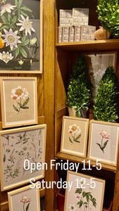 Catherine Lewis Botanical Print Frame in Oak Frame 12 x 17”