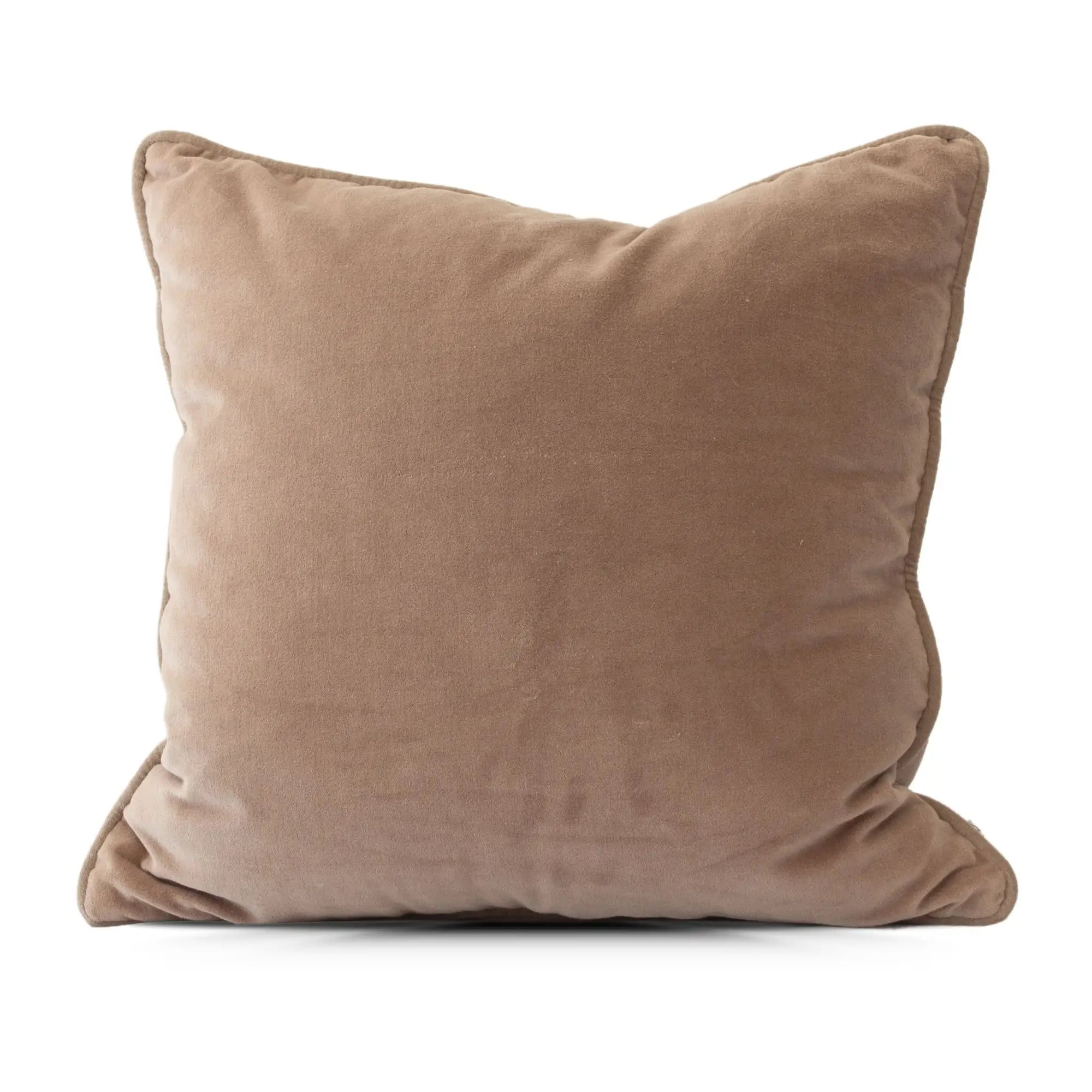 Mushroom Velvet Pillow 20” x 20”