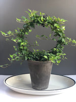 Load image into Gallery viewer, 10” Ring Green Ivy Topiary Ring 7&quot; tall grey clay pot
