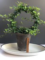 Load image into Gallery viewer, 10” Ring Green Ivy Topiary Ring 7&quot; tall grey clay pot
