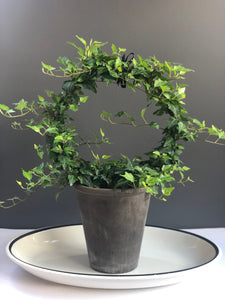 10” Ring Green Ivy Topiary Ring 7" tall grey clay pot