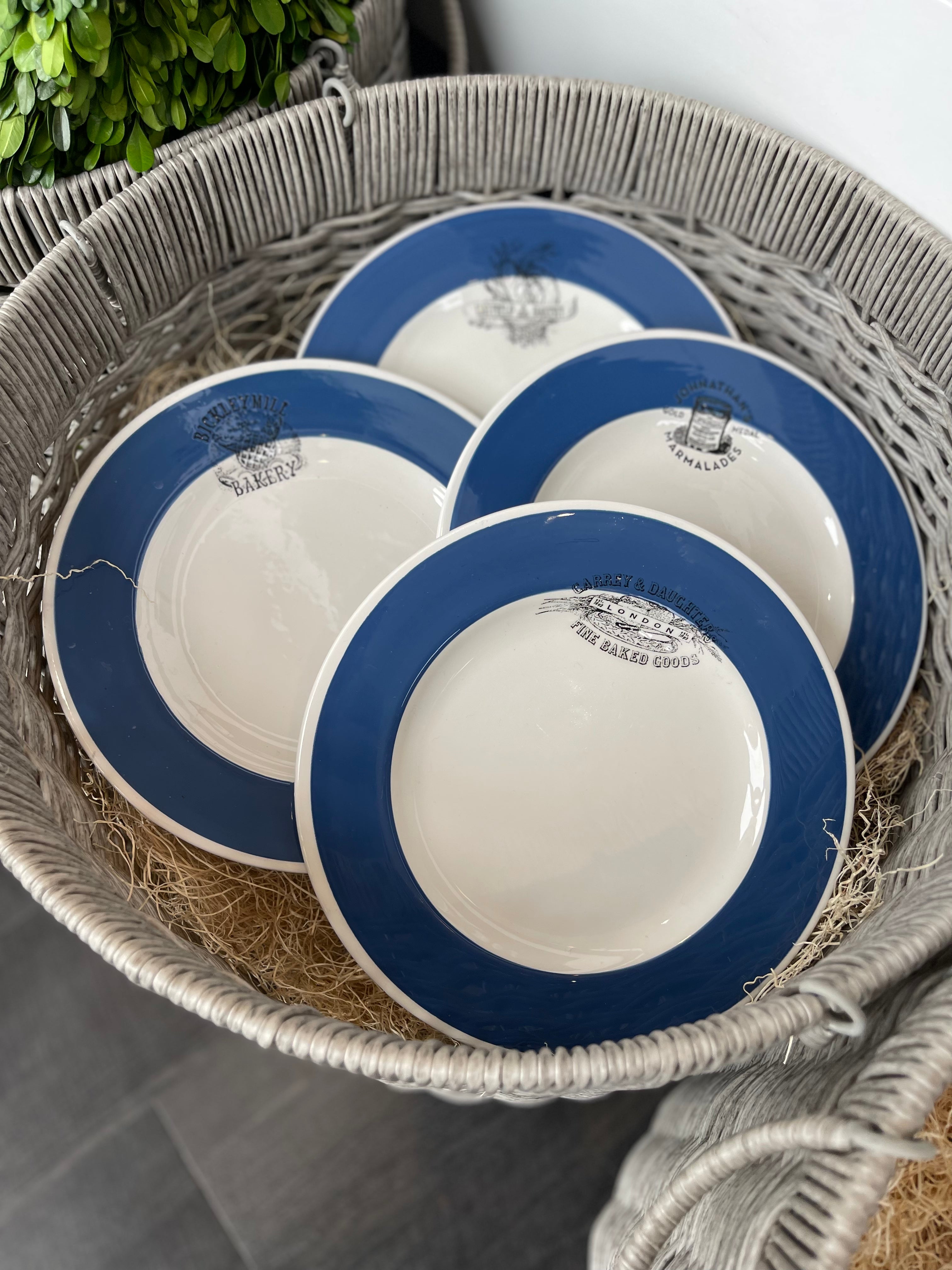 Williams Sonoma 9” Set I f Four Blue Rimmed Plates