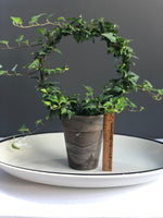 Load image into Gallery viewer, Ivy Ring Topiary in 5” grey clay pot, 8” ring
