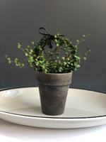 Load image into Gallery viewer, Angel Vine Ring Topiary 5&quot;
