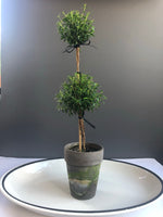 Load image into Gallery viewer, Double Myrtle Topiary 5” grey pot
