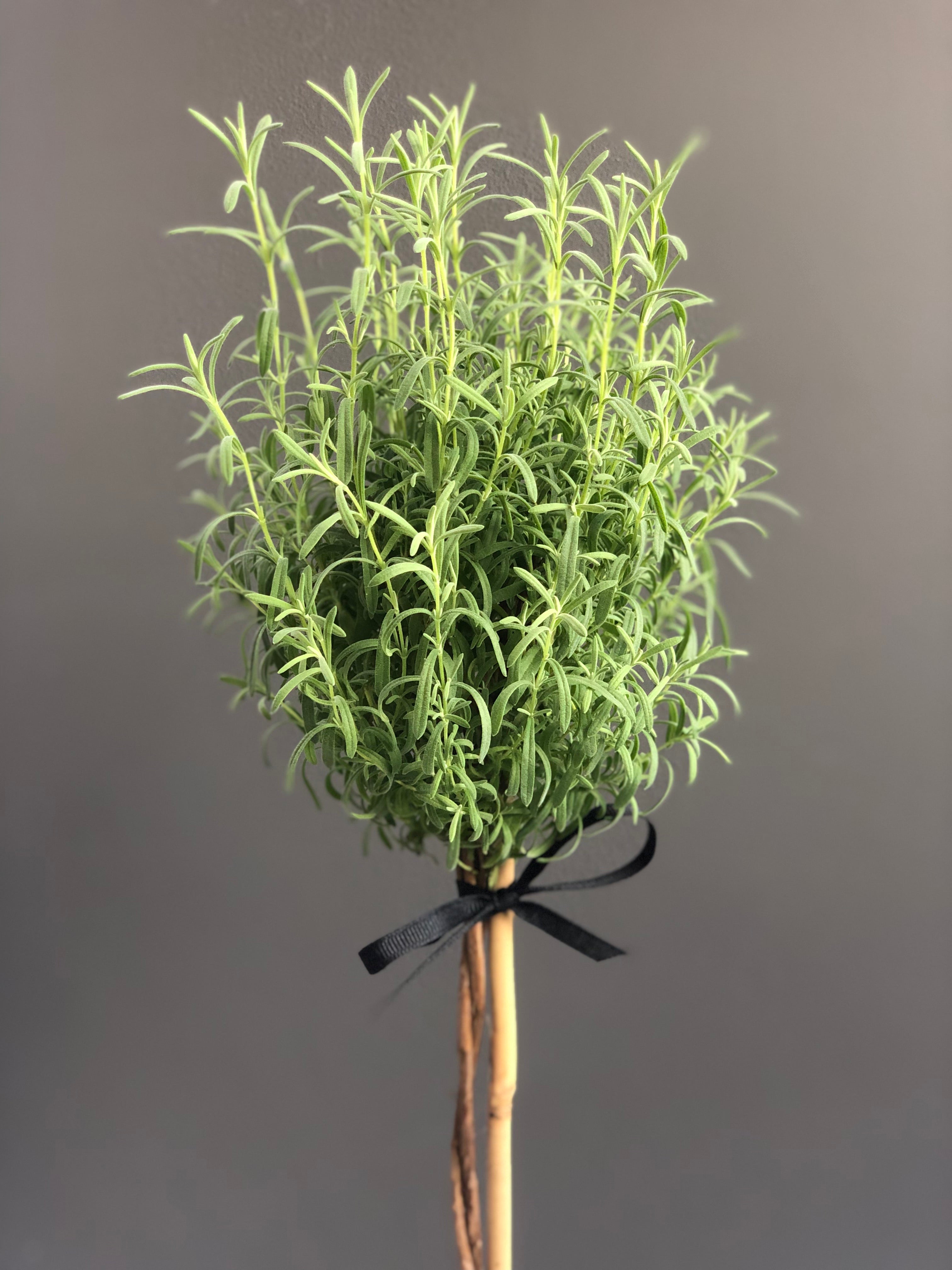 Lavender Topiary in 5.5” grey pot